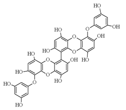 Chemical structure of 6,6'-bieckol