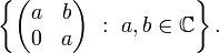 \left\{ 
\begin{pmatrix}
a&b\\ 0 & a
\end{pmatrix}
\ :\  a,b\in\mathbb{C}\right\}.