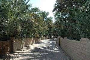 A dirt and cobblestone road runs through the center of the image, flanked by low plastered walls and palm trees.
