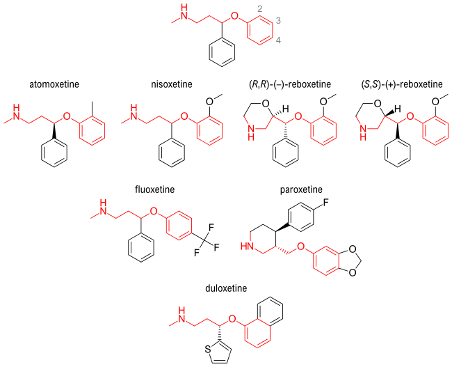 Aryloxypropanamine scaffold