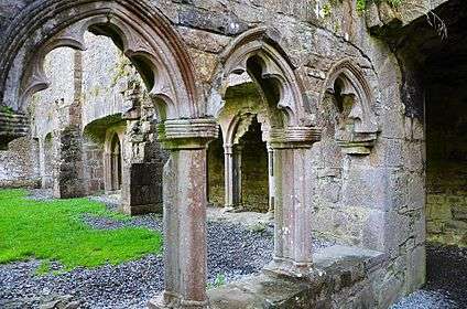 Bective Abbey - inside.jpg