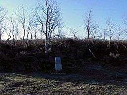 Camas Meadow Camp and Battle Sites