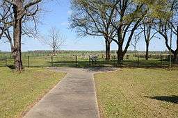 A small fenced cemetery with large trees on a flat, green landscape