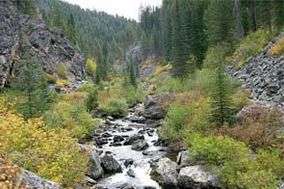 Crooked Creek in fall.