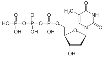 Skeletal formula of thymidine triphosphate, 3- negative charge