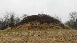 Dixon Mound