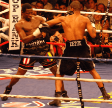 Edison Miranda vs. Allan Green