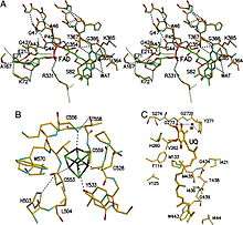 ETF-QO functional domains