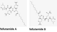 Structure of fellutamide A and B