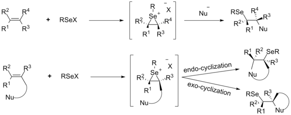 Functionalization of olefins using electrophilic organoselenium species