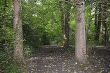 Gobions Wood