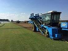 Harvesting sod