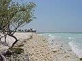 Honeymoon Island State Park (Image 2).jpg