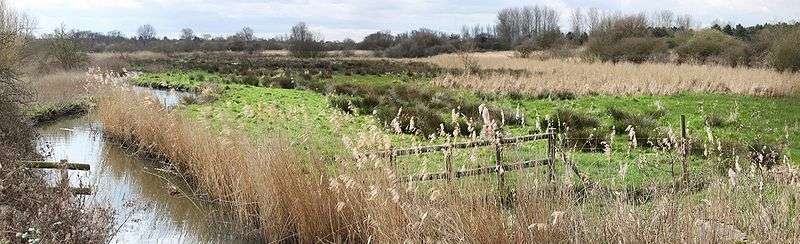 Ingrebourne Valley from Hornchurch Country Park.