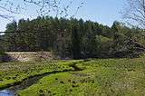 River in a field, wooded hill behind