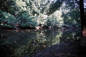 Slow moving Saline River surrounded by lush greenery on both banks