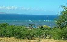 shrubs, vacation homes, sea, and island in distance