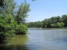 Calm lake surrounded by lush greenery