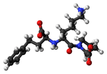 Ball-and-stick model of the lisinopril zwitterion