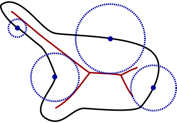 Medial axis-base definition.