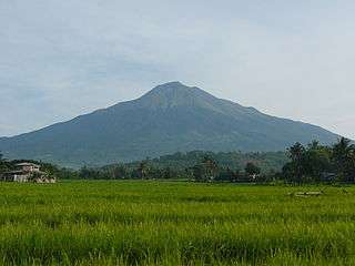 A volcano rises in the distance beyond a field