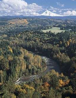 A snow-covered mountain in the background with forests in the foreground and a river running through