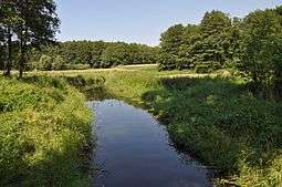 A photograph of the Niemica near the village of Mokrawica