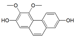 Chemical structure of nudol