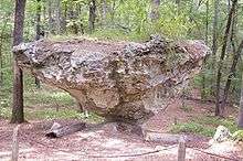 Peachtree Rock in the Peachtree Rock Heritage Preserve.