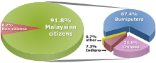 Percentage distribution of Malaysian population by ethnic group, 2010