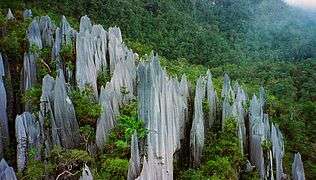 Limestone pinnacles jutting out of a mountainside forest on Mount Api