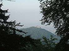 Mountaintop castle in background, seen through trees