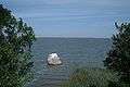 A view of the lagoon from Chrząszczewska Island