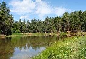 A lake near Mingus Mountain.