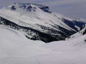 Flat-topped mountain covered and surrounded by snow with trees on its lower flanks.