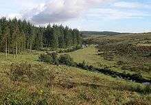 The River East Dart at Bellever looking upstream.  Forestry Commission land on the left, open moorland on the right