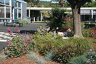 Grass courtyard surrounded by sidewalks, small trees, blue-gray single-story building