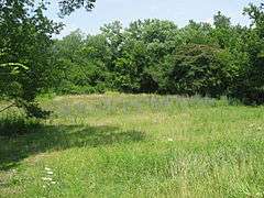 Clough Creek and Sand Ridge Archeological District