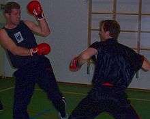 Sanshou practitioners fighting.