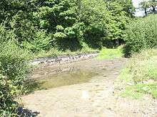 a pool of thin brown liquid in a rural setting