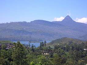 Forested mountains, a settlement, a lake and a characteristic peak in the distance.