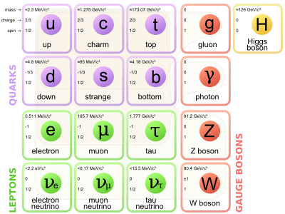 A four-by-four table of particles. Columns are three generations of matter (fermions) and one of forces (bosons). In the first three columns, two rows contain quarks and two leptons. The top two rows' columns contain up (u) and down (d) quarks, charm (c) and strange (s) quarks, top (t) and bottom (b) quarks, and photon (γ) and gluon (g), respectively. The bottom two rows' columns contain electron neutrino (ν sub e) and electron (e), muon neutrino (ν sub μ) and muon (μ), and tau neutrino (ν sub τ) and tau (τ), and Z sup 0 and W sup ± weak force. Mass, charge, and spin are listed for each particle.