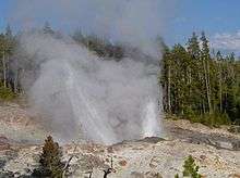 Steam shooting from ashen rocks with fir trees in the background.