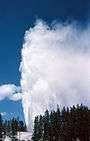 Steamboat Geyser