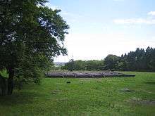 A low stone platform in a meadow.