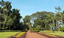 Teijsmann Garden at Bogor Botanical Garden.