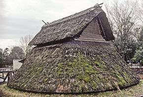 Simple thatched hut with the thatching going all the way to the ground.