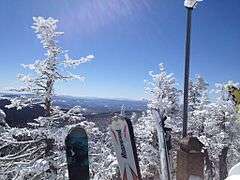 View from Mount Killington with skis, near where the K1 gondola disembarks.JPG