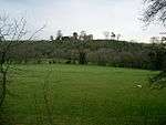 Distant view of Illieston Castle