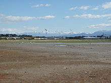 Washdyke Lagoon is home to many different bird species that congregate in large numbers around the lagoon.